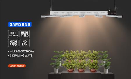 Grow light one.jpg