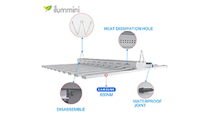 ilummini 800w LED Grow Light